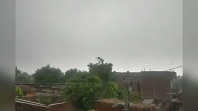 बक्सर में तेज आंधी के साथ झमाझम बारिश, भीषण गर्मी और उमस से लोगों को मिली बड़ी राहत